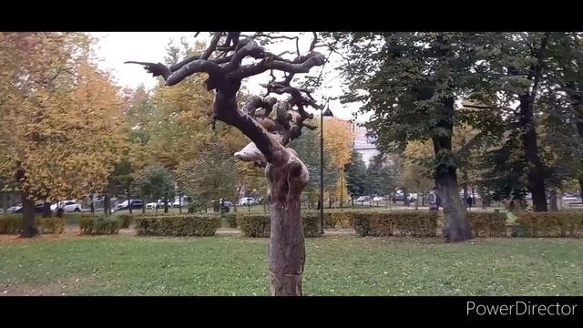 Палевский сад.