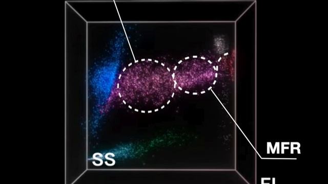 15 - 3 part ret scattegram bc60r