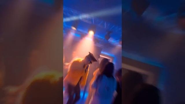 группа KRISTA - Золотые хиты🔥
