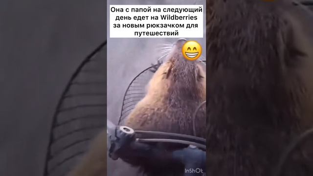 Современные проблемы🙈