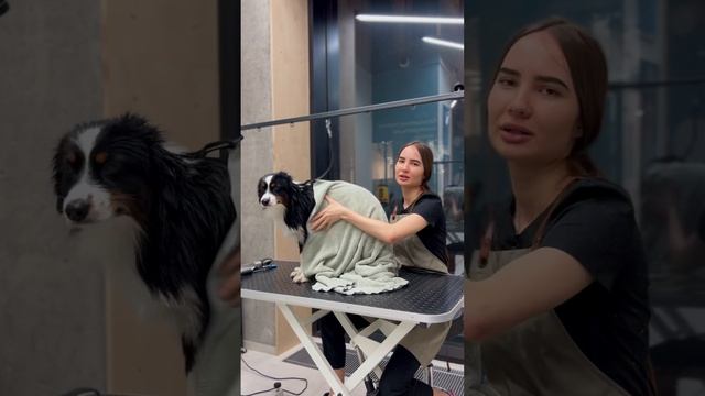 Чье лицо нравится больше: Элая или Юли?