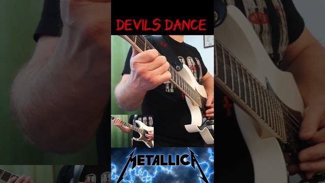 Metallica-Devils Dance(Cover by VL)