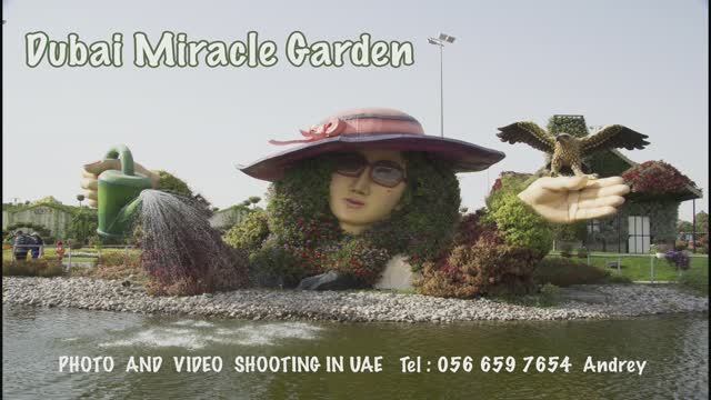 SLIDE SHOW Dubai Miracle Garden