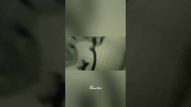 YouCut_20241018_211512635.mp4