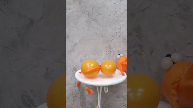 Котиков разорвало от милоты