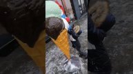 братуха и мороженое