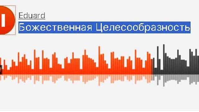 Божественная Целесообразность