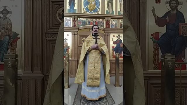 Ты ли тот, кто должен прийти? О твёрдости в вере. Проповедь о. Вячеслава. 17.10.24