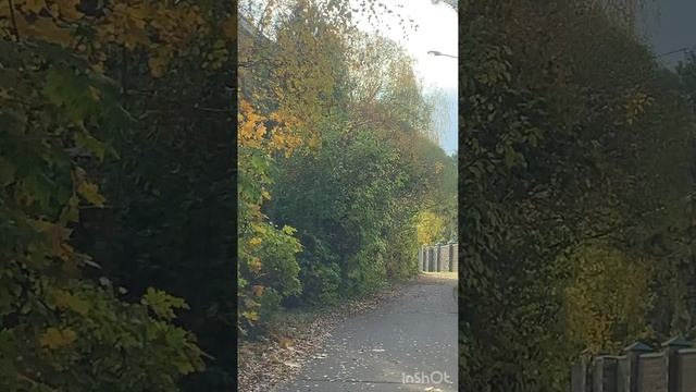 Индейское лето )