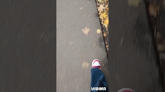 Один выходной день