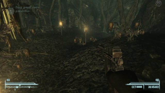 Fallout 3 Зачистка мира № 176 Вход на святое болото Место авиакатастрофы