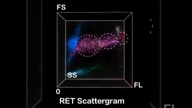 16 - Ret Scattegram_3 fraction