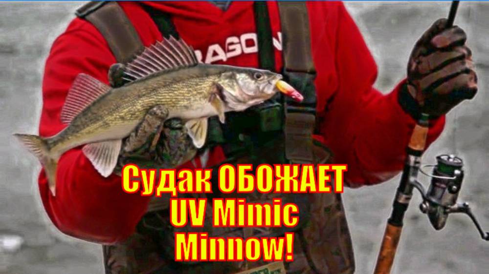 Судак ОБОЖАЕТ UV Mimic Minnow!