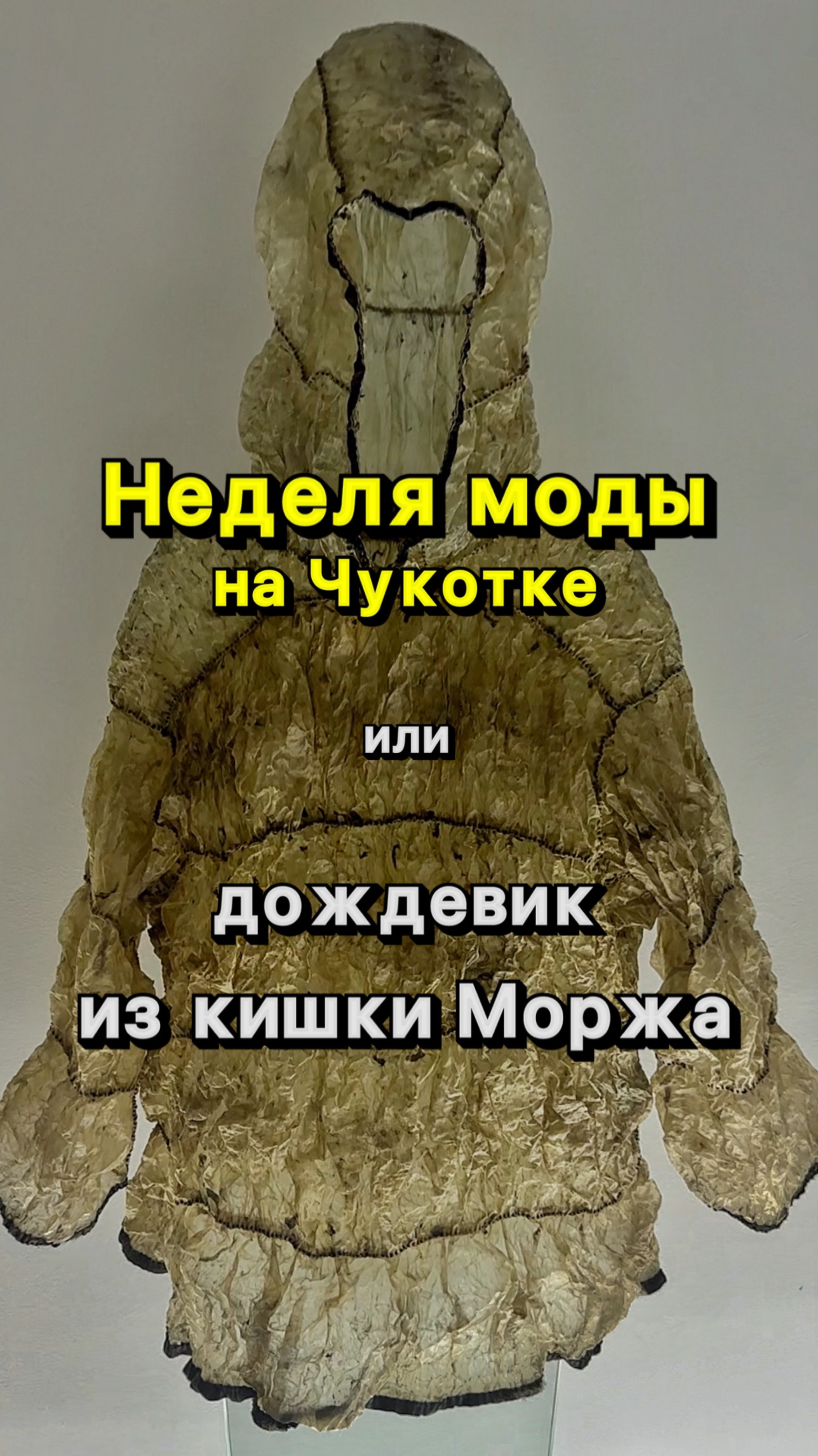 Дождевик из моржа