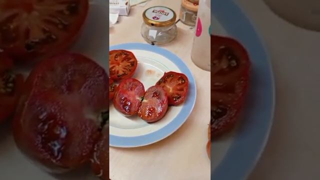 Томат СЕВЕРНЫЙ ЭЛАН.У-У-У 👌👌👌Универсальный,урожайный,устойчив к болезням!😊👍