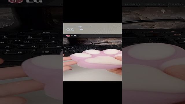 таба сквиши