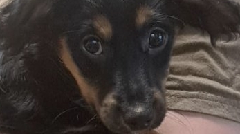 внимание про телеграм @neverJackson