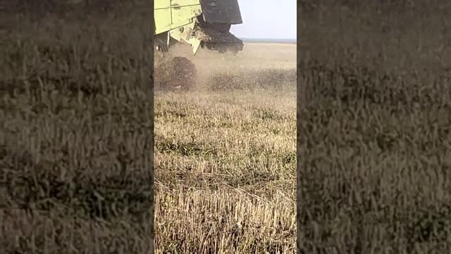 Комбайн уборки зерновых claas mega-360