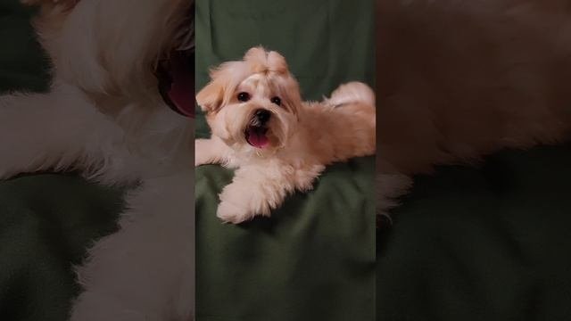1000834761.mp4
