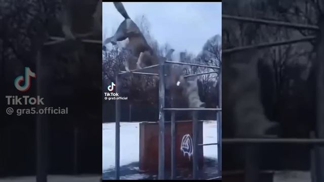волк