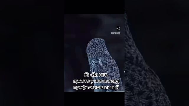 1000063421.mp4