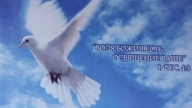 Богом назначенное время