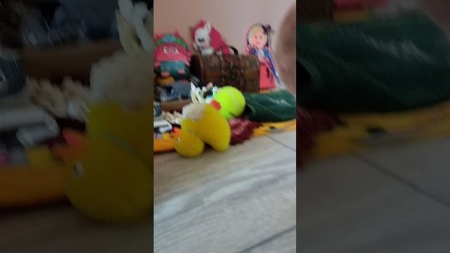 пришла со школы,и играю с Басей и Капибарой