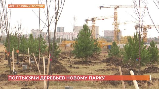 Новый парк заложили  на территории старого ростовского аэропорта