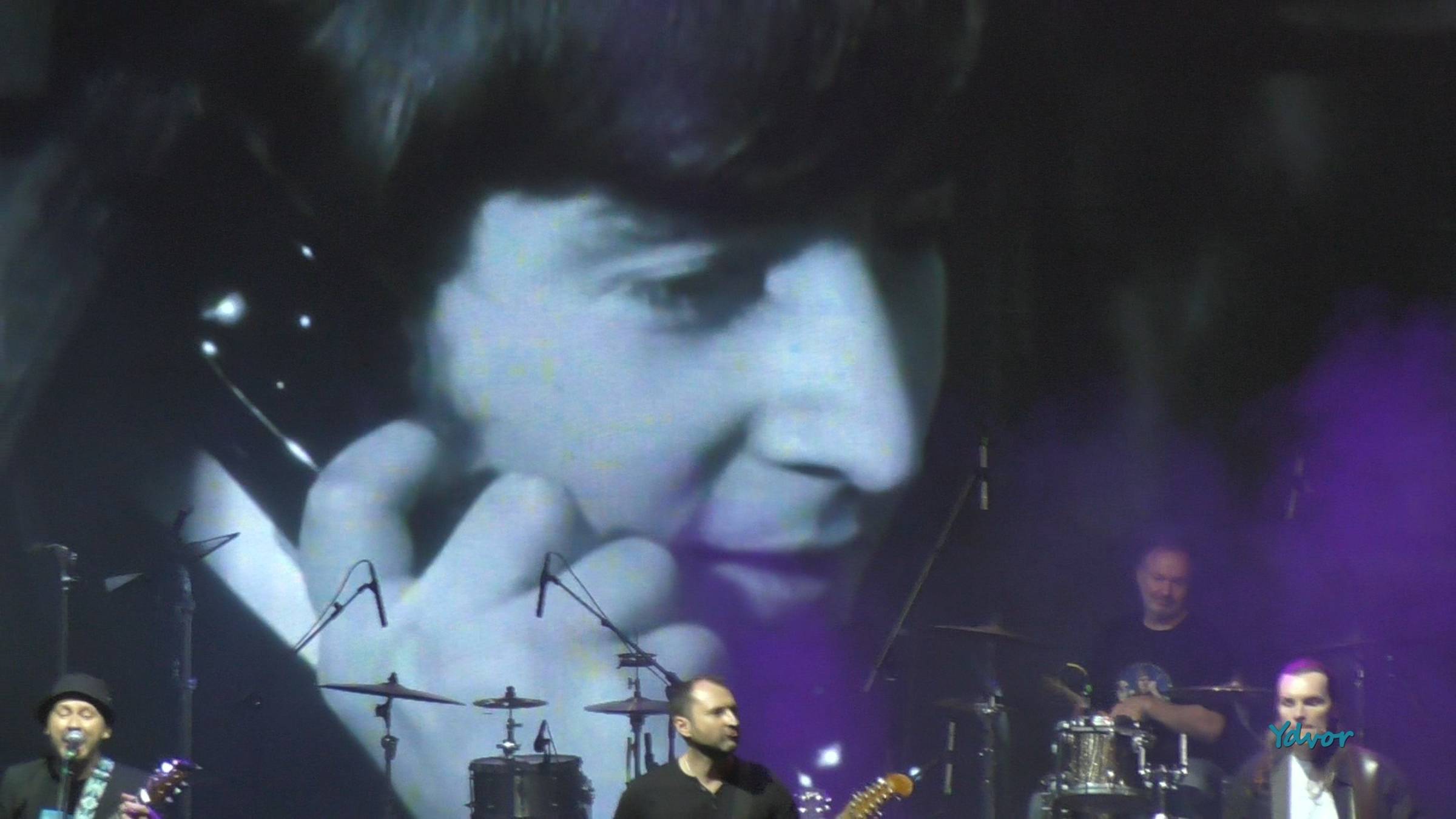 Корней и "Zebra Band" - A Hard Day's Night  (@The Beatles) 05.10.24 г.