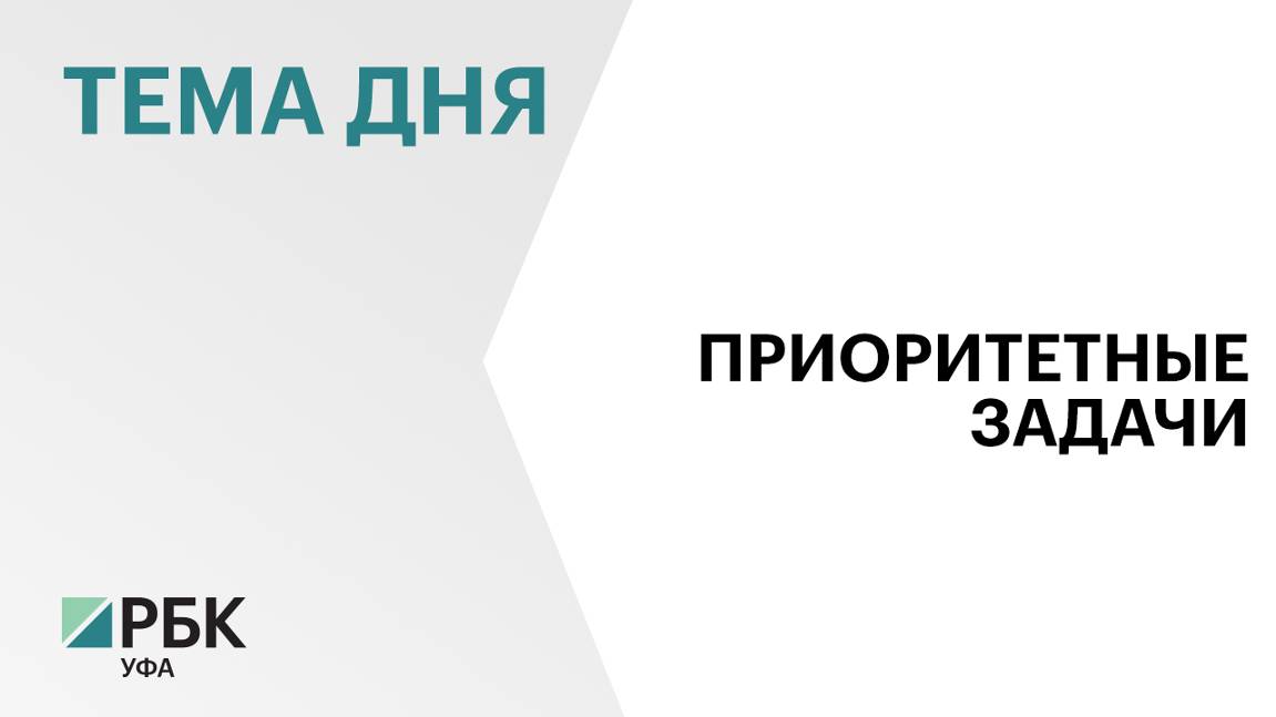 Владимир Путин провел рабочую встречу с главой Башкортостана Радием Хабировым