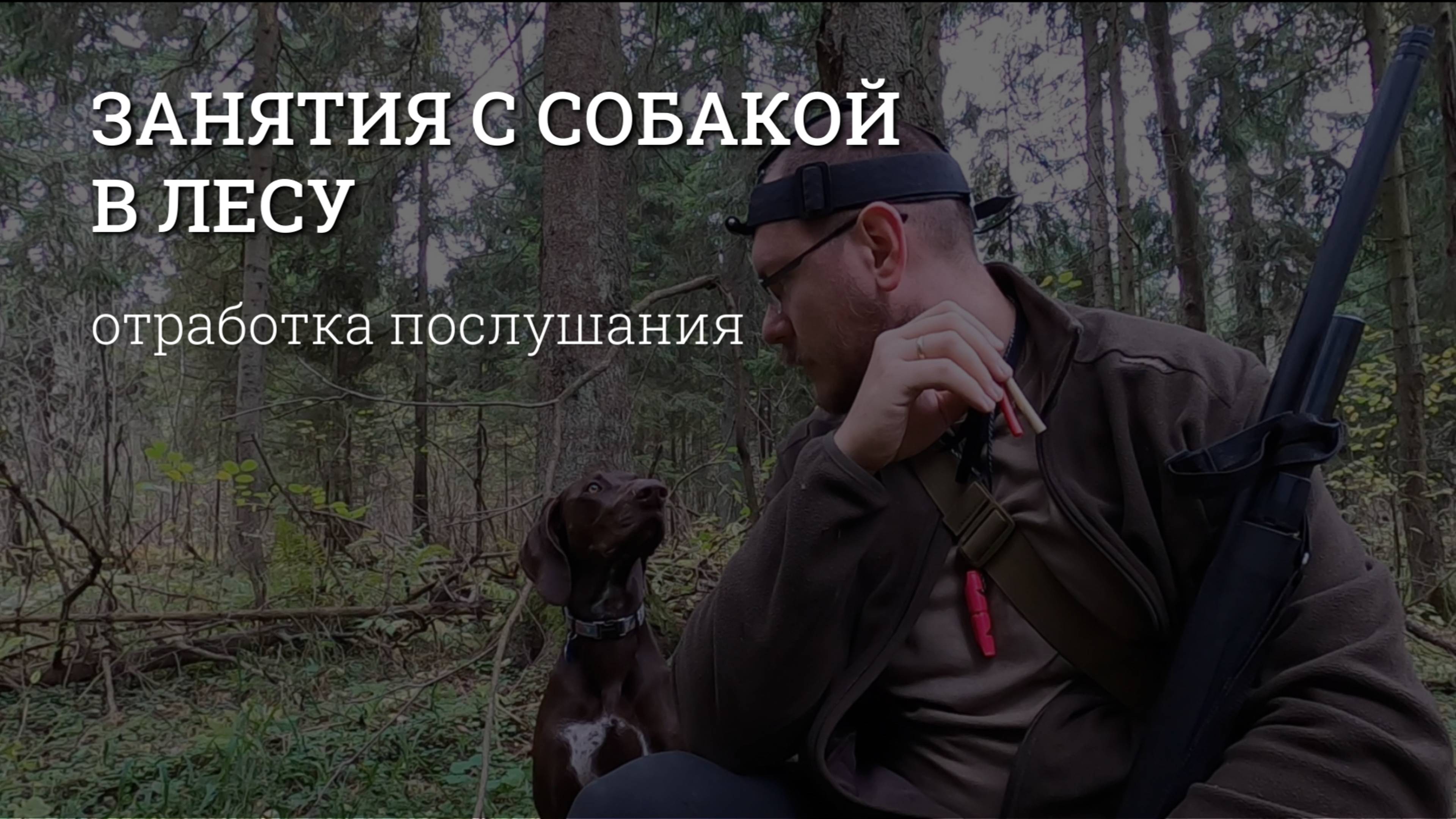 Занимаемся с собакой в лесу. Отработка послушания.