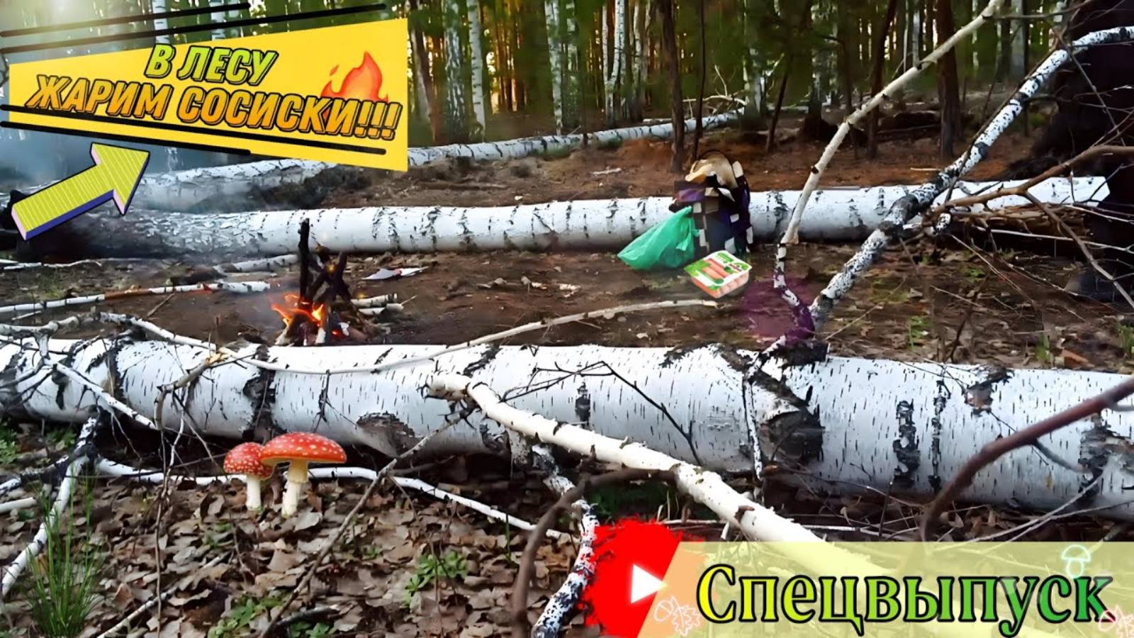 Жарим сосиски на костре в лесу!!!