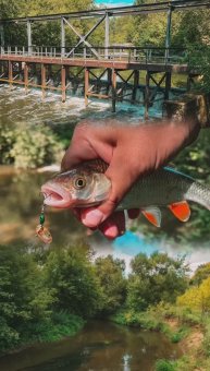 ГОЛАВЛЬ НА ВРАЩАЛКУ