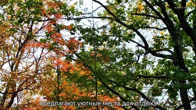 Парк «Северный» (часть 2)

Сквер русских сказок в парке "Северный"