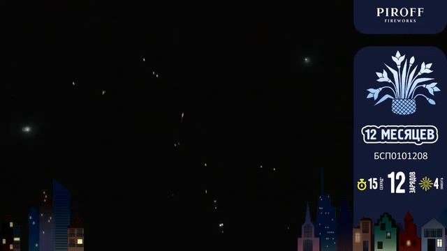 12 месяцев