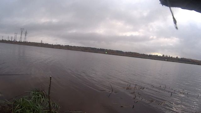 волхов хороший лещ