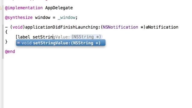 Xcode 4.2 Tutorial - Application Icon Image (Change app icon programmatically)