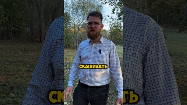 Про траву на участке
