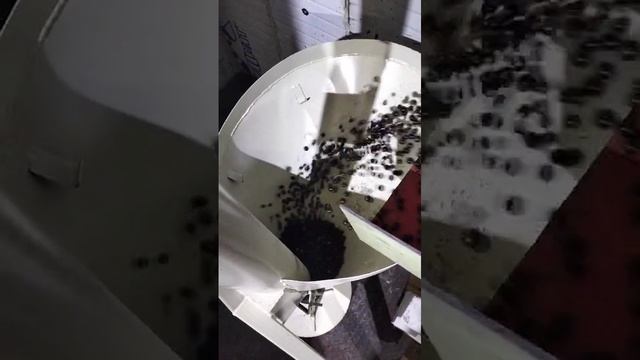 1000069093.mp4