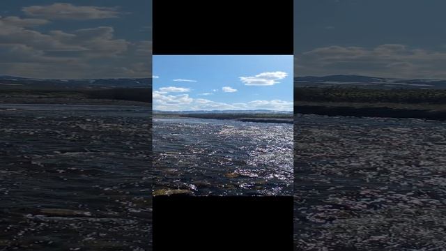 Сезон 15 серия 20 Водопой