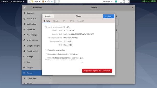 Adresse MAC et Paramètres IP sous Linux Debian 10 (Gnome)