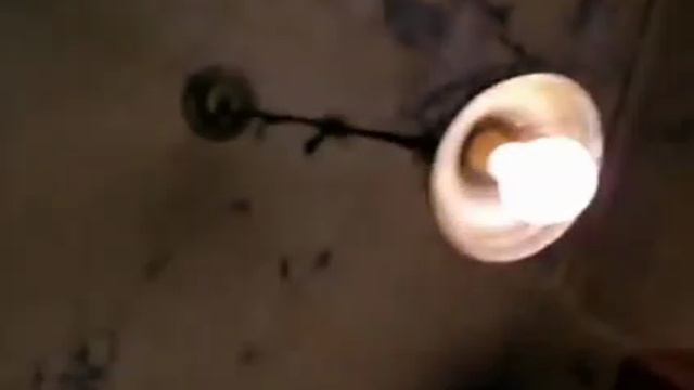 У соседей вечеринка 🤭