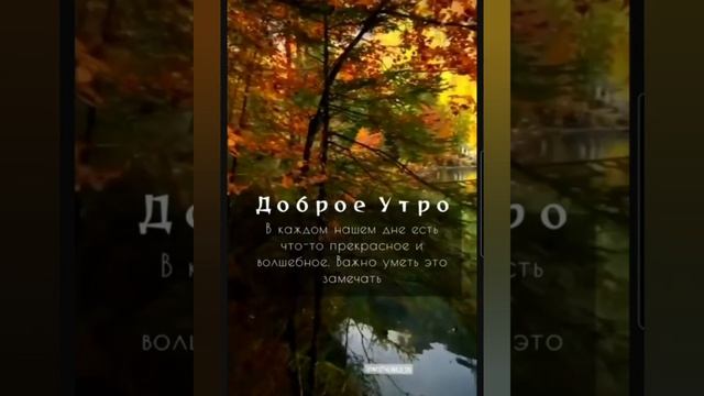 Доброе утро #доброеутро #благодарность