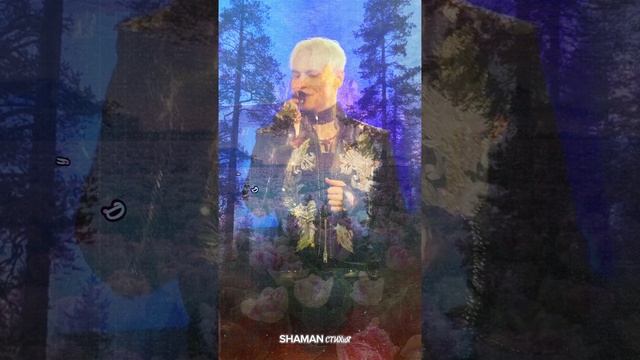 #shaman #ярусский #стихи #любовь #fyp #shorts #рекомендации #россия #земля #свобода #шаман #патриот