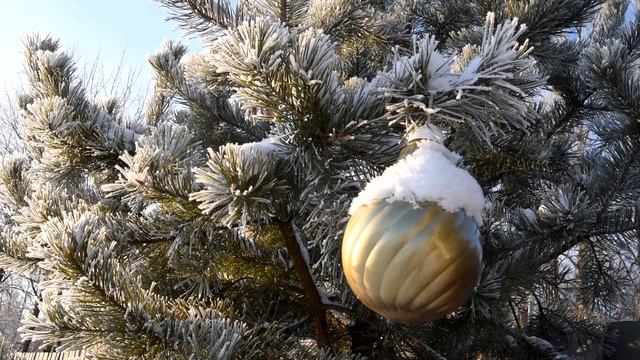 ЗИМНЯЯ ШАПОЧКА Футаж