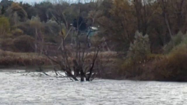 241019 Первый Разуваевский пруд лесопарк Андриабуж блогер Алексей Стеблецов ДР Андриабужский г Орёл