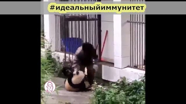 Привела ребенка в детский сад ВПЕРВЫЕ