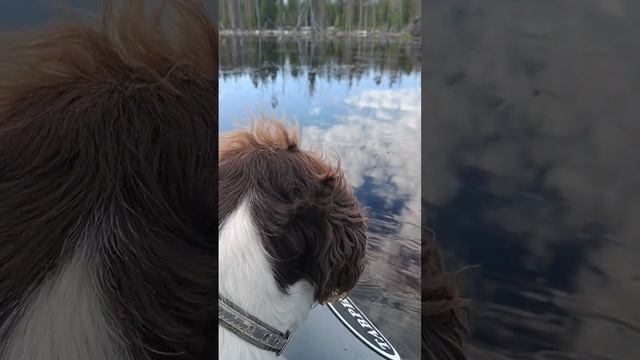 С полем!