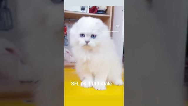 VID_100920607_104212_666.mp4
