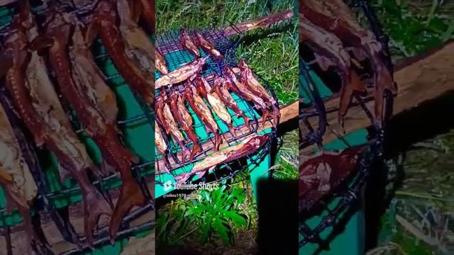 стерлядь копченая